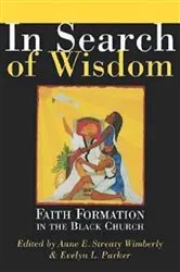 Book cover of In Search of Wisdom by Anne E. Streaty Wimberly