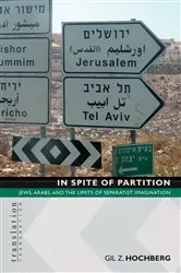Book cover of In Spite of Partition by Gil Z. Hochberg