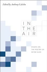 Book cover of In the Air by Anthony Caleshu