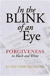 Book cover of In the Blink of an Eye by Stefana Sabin