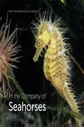 Book cover of In the Company of Seahorses by Steve Trewhella