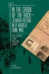 Book cover of In the Crook of the Rock by Vera Schwarcz