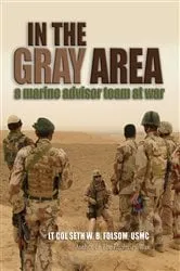 Book cover of In the Gray Area by Seth William Bell Folsom