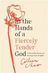 Book cover of In the Hands of a Fiercely Tender God by Colleen Chao
