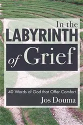 Book cover of In the Labyrinth of Grief by Jos Douma