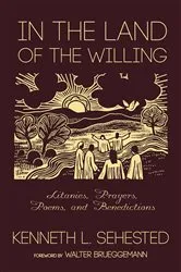 Book cover of In the Land of the Willing by Kenneth L. Sehested