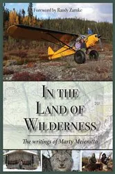 Book cover of In the Land of Wilderness by Marty Meierotto