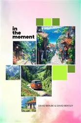 Book cover of in the moment by David Berube