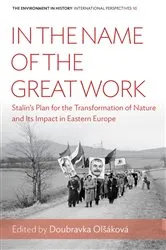 Book cover of In the Name of the Great Work by Doubravka Olšáková