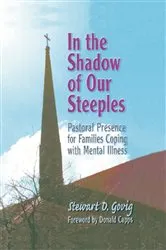 Book cover of In the Shadow of Our Steeples by Stewart D. Govig *Deceased*