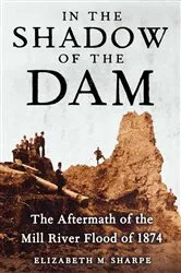 Book cover of In the Shadow of the Dam by Elizabeth M. Sharpe