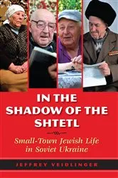 Book cover of In the Shadow of the Shtetl by Jeffrey Veidlinger