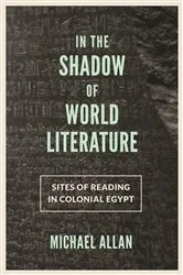 Book cover of In the Shadow of World Literature by Michael Allan