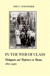 Book cover of In the Web of Class by Eric C. Schneider