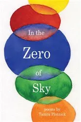 Book cover of In the Zero of Sky by Tamara Plotnick