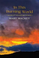 Book cover of In This Burning World by Mary Mackey