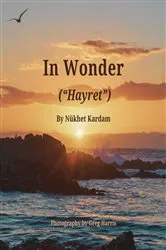 Book cover of In Wonder (