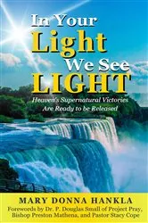 Book cover of In Your Light We See LIGHT by Hankla, Mary, Donna