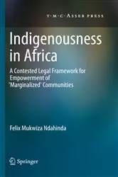 Book cover of Indigenousness in Africa by Felix Mukwiza Ndahinda