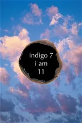 Book cover of Indigo 7 by 11