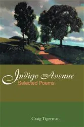Book cover of Indigo Avenue by Craig Tigerman