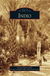 Book cover of Indio by Patricia Baker Laflin