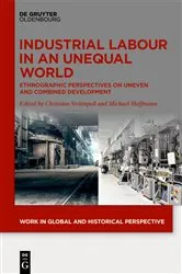 Book cover of Industrial Labour in an Unequal World by Christian Strümpell