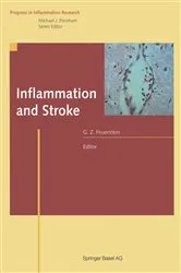 Book cover of Inflammation and Stroke by Giora Z. Feuerstein