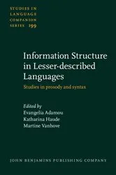 Book cover of Information Structure in Lesser-described Languages by Unknown