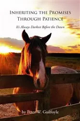 Book cover of Inheriting the Promises Through Patience by Peter W. Guilfoyle