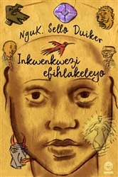 Book cover of Inkwenkwezi efihlakeleyo by K. Sello Duiker