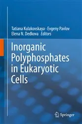 Book cover of Inorganic Polyphosphates in Eukaryotic Cells by Tatiana Kulakovskaya
