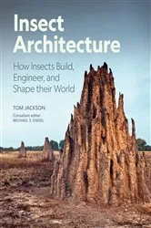 Book cover of Insect Architecture by Michael S. Engel