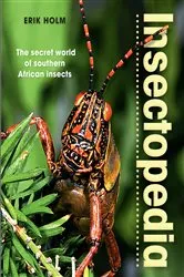 Book cover of Insectopedia – The secret world of southern African insects by Erik Holm