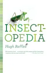 Book cover of Insectopedia by Hugh Raffles