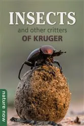 Book cover of Insects and other Critters of Kruger by Joan Young