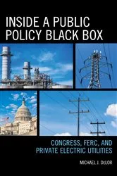 Book cover of Inside a Public Policy Black Box by Michael  J. DeLor
