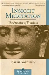 Book cover of Insight Meditation by Joseph Goldstein