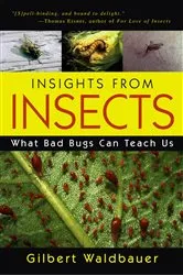 Book cover of Insights From Insects by Gilbert Waldbauer