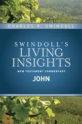 Book cover of Insights on John by Charles R. Swindoll