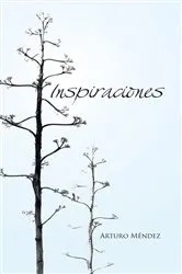 Book cover of Inspiraciones by Arturo Méndez