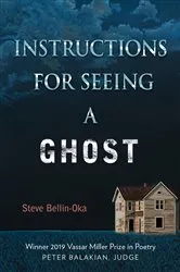 Book cover of Instructions for Seeing a Ghost by Steve Bellin-Oka