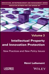 Book cover of Intellectual Property and Innovation Protection by Rémi Lallement