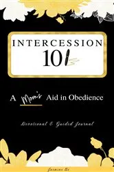 Book cover of Intercession 101 by TBD