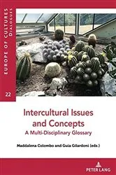Book cover of Intercultural Issues and Concepts by Maddalena Colombo
