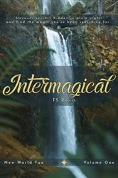 Book cover of Intermagical by TS Davis