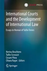 Book cover of International Courts and the Development of International Law by Nerina Boschiero
