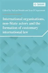 Book cover of International organisations, non-State actors, and the formation of customary international law by Sufyan Droubi