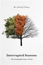 Book cover of Interrupted Seasons by Nelson, David, J