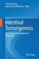 Book cover of Intestinal Tumorigenesis by Vincent W. Yang